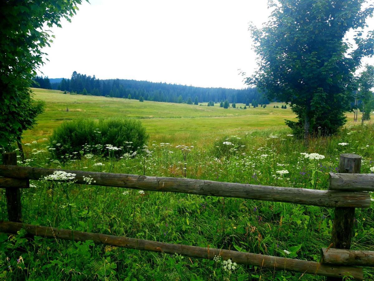 #Apt23 - Apartman 23 - Novohradske Hory Benesov nad Cernou Exterior foto